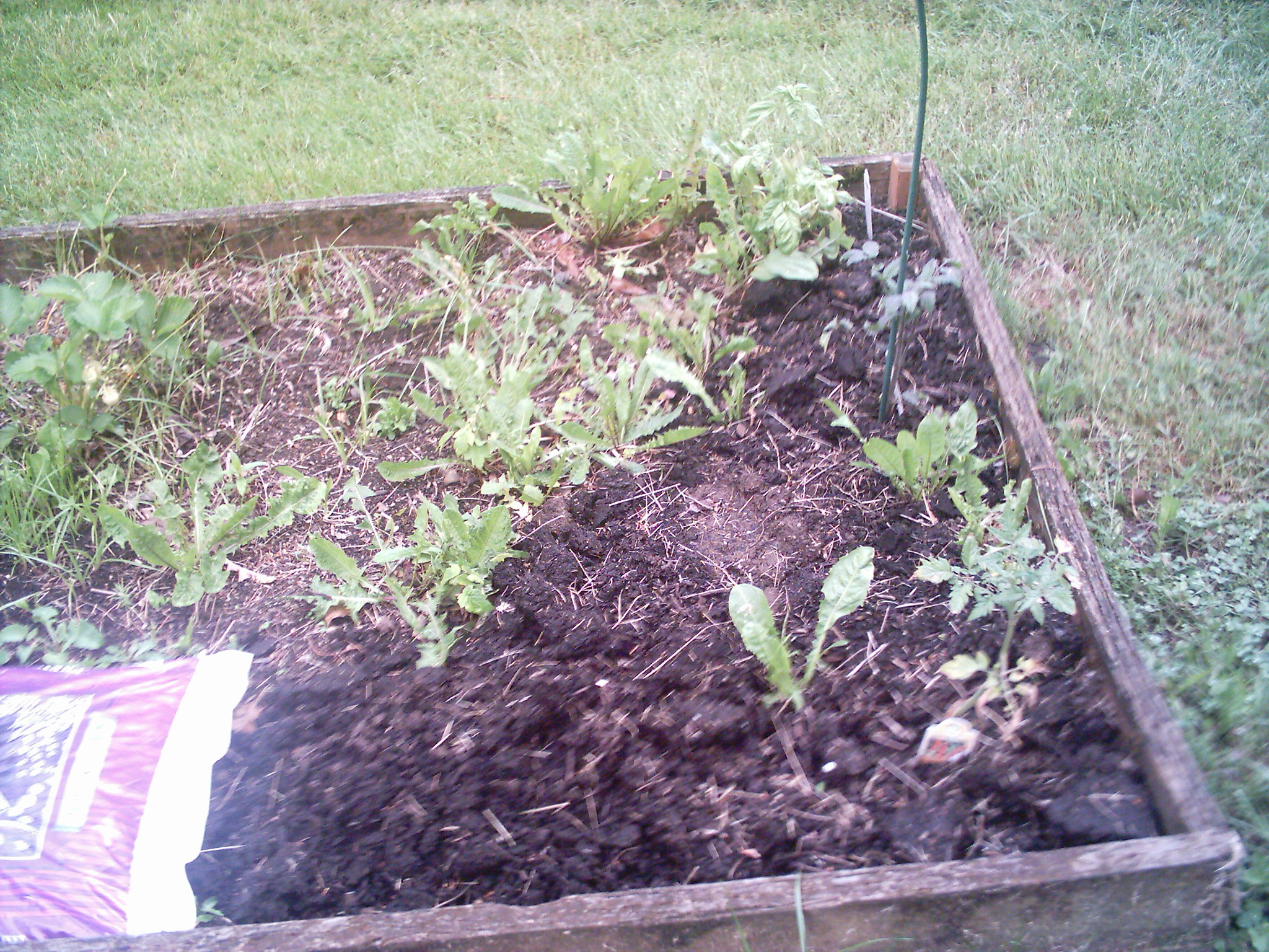 plot2 end of plot