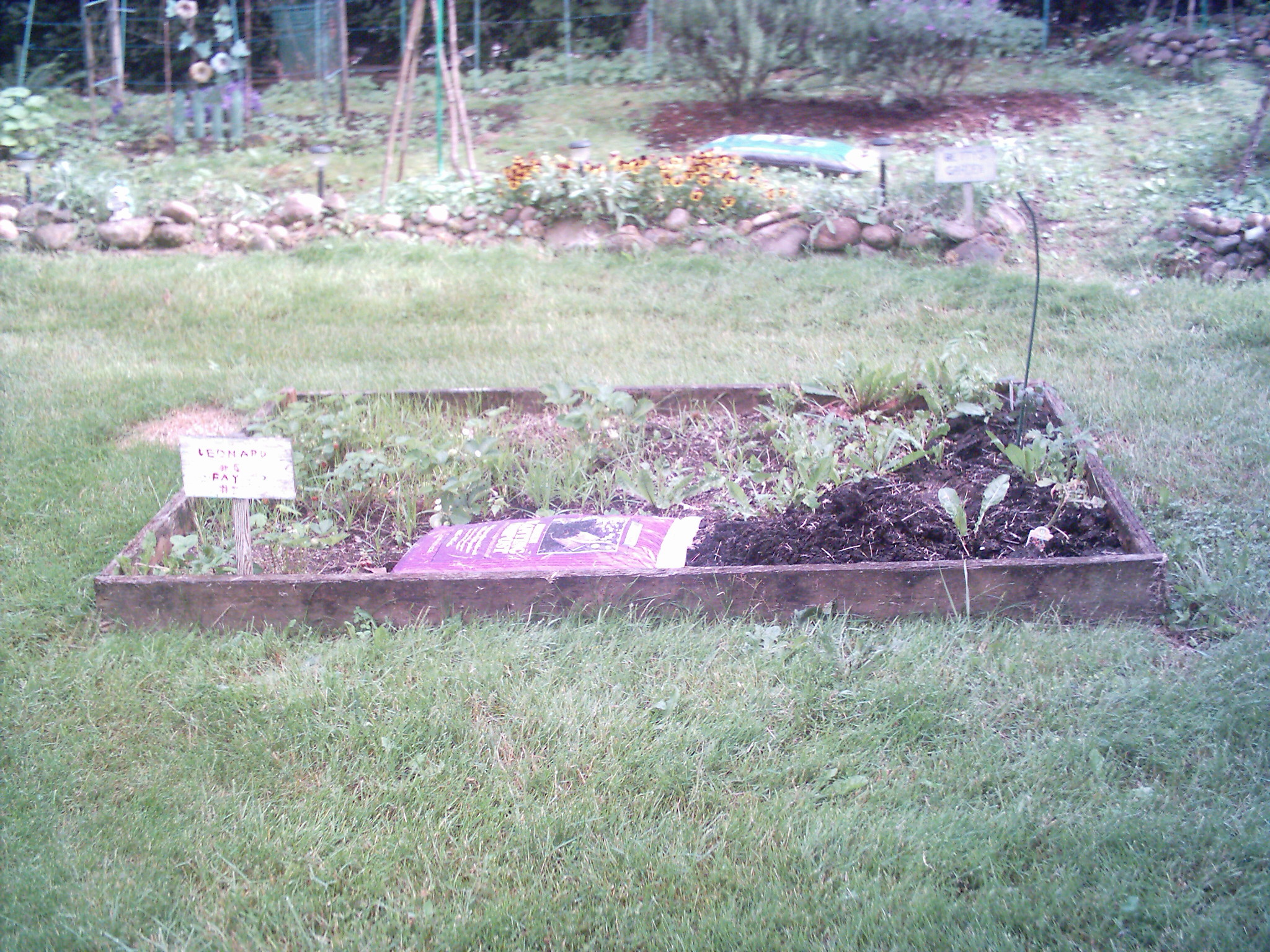 plot1 distant view of plot